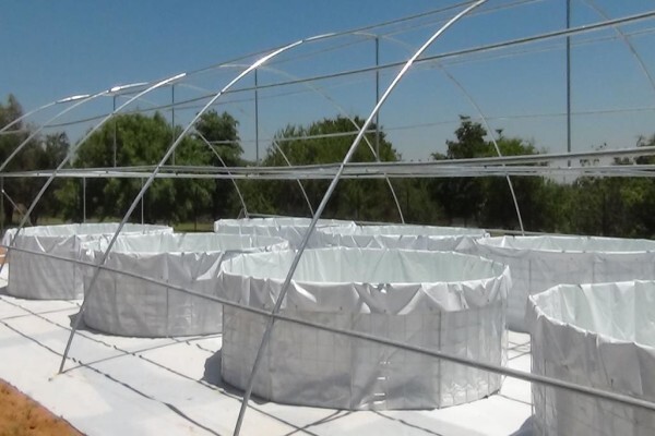 Tata Ma Tarps And Linings