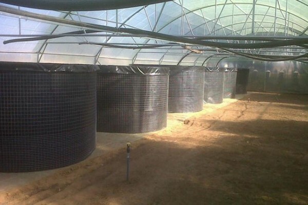 Tata Ma Tarps And Linings