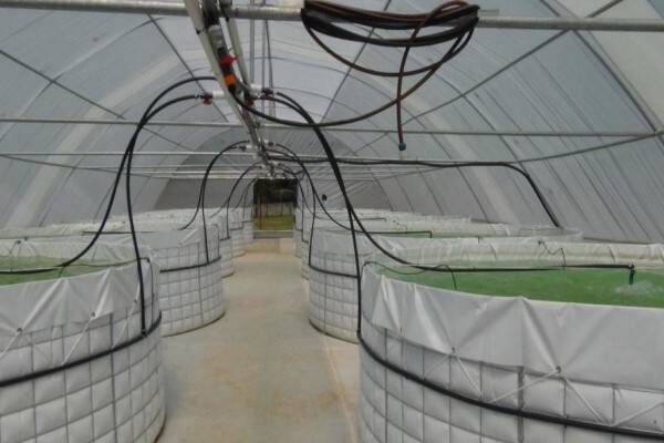 Tata Ma Tarps And Linings