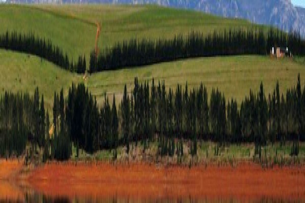 Theewaterskloof Country Estate
