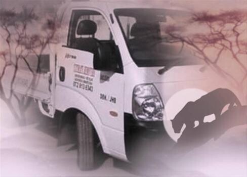 Removal Company Durban - Ultimate Movers