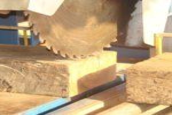 Reclaimedwoods