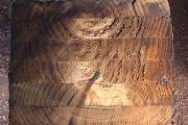Reclaimedwoods