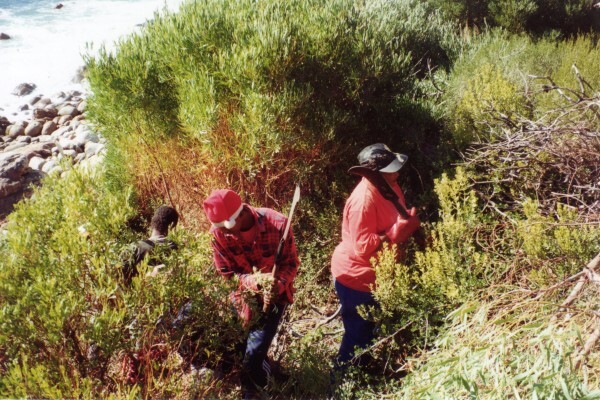 Rosenthal Environmental Consulting
