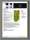 Crazy Ostrich Web Design