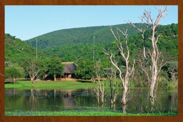 Tholo Bush Estate