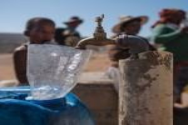 Water Harvest