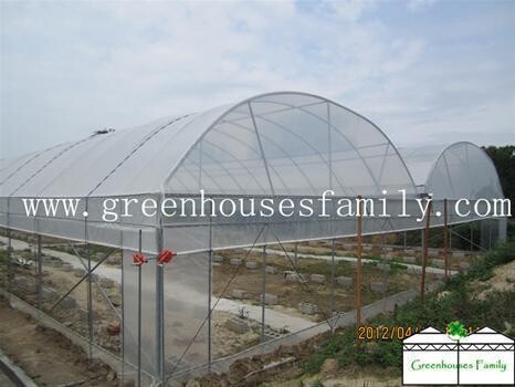 Greenhouses
