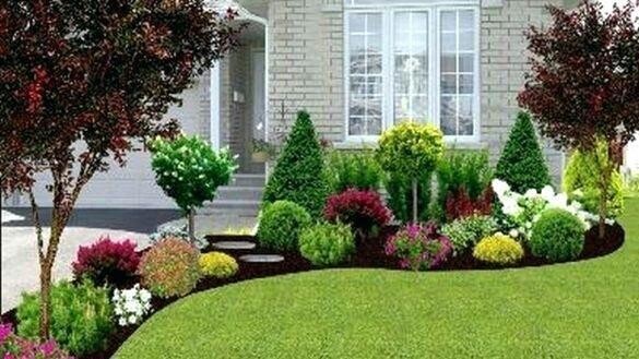 Delight Gardening And Irrigation Services
