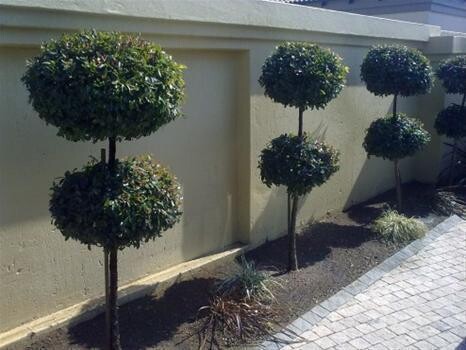 Kurts Garden And Pool Service