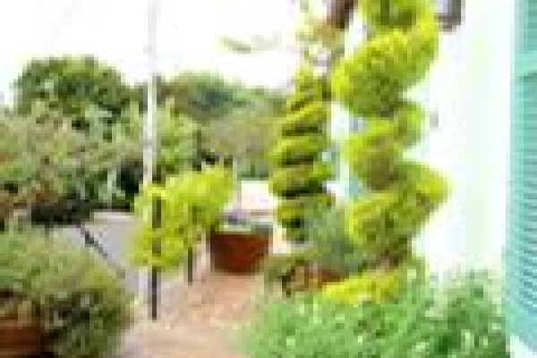 Chelsea Garden Studio
