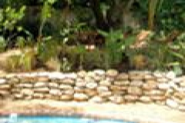 Chelsea Garden Studio