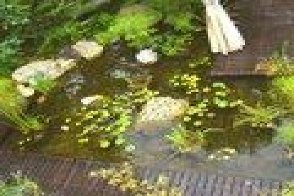Chelsea Garden Studio