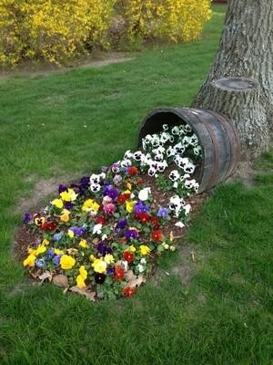 Delight Gardening And Irrigation Services