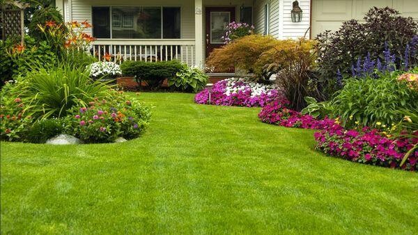 Delight Gardening And Irrigation Services