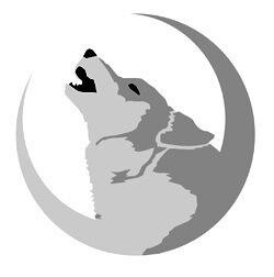 Eiledon Solutions Web Design
