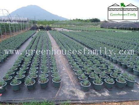 Greenhouses