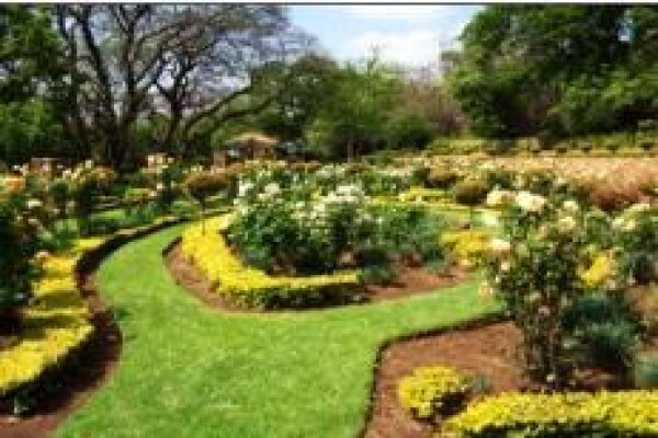 Greensquare