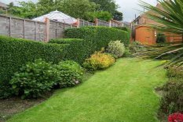 Greensquare