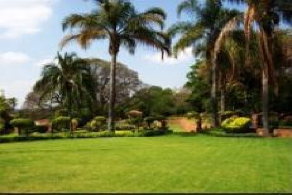 Greensquare