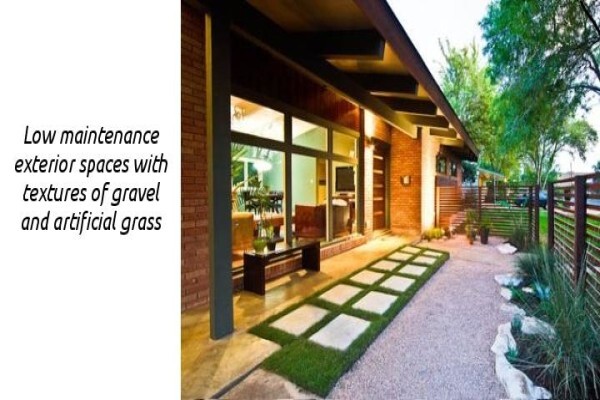 Le Fern Gardening
