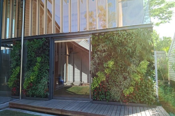 Le Fern Gardening