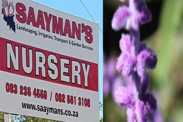 Saayman'S Services