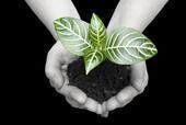 Soilfood