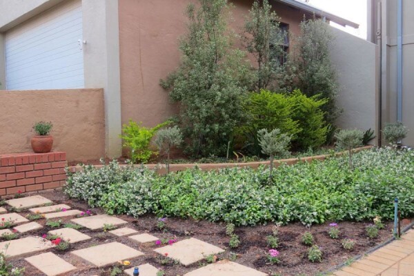 Windy Willows Wholesale Nursery