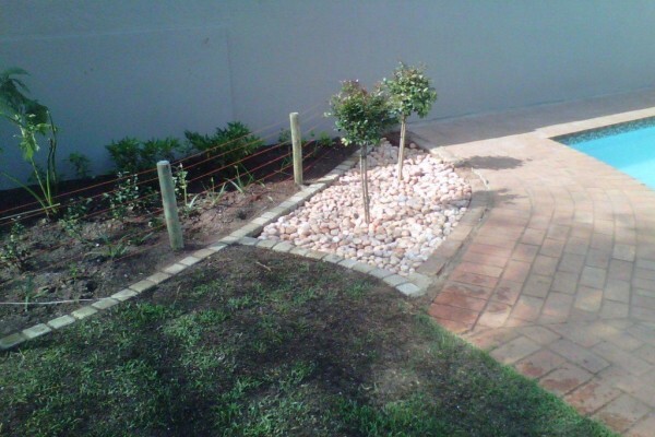 Windy Willows Wholesale Nursery