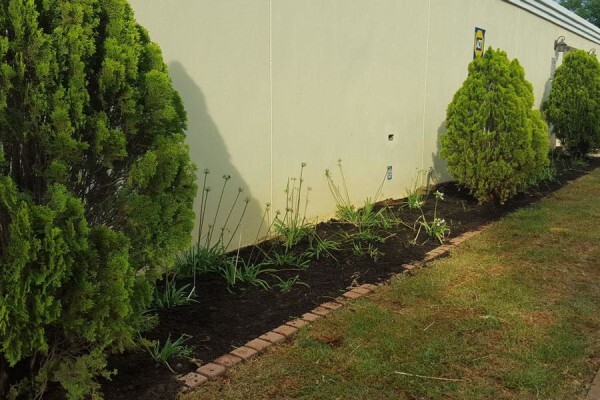 Windy Willows Wholesale Nursery