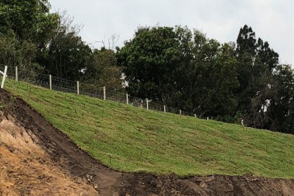 Inglewood Grass And Nursery