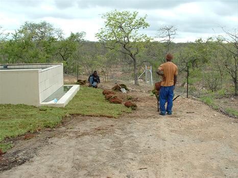Landscaping Limpopo