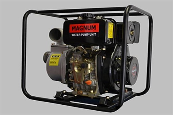 Lawnmower Engine