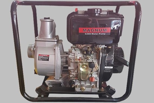 Lawnmower Engine