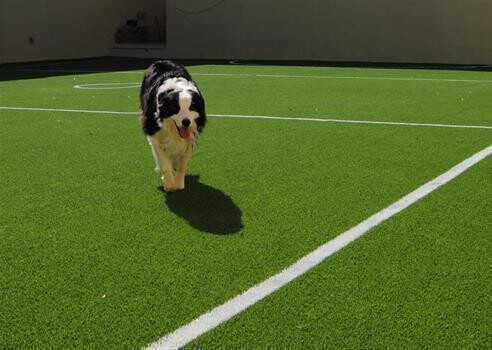 Tuffturf