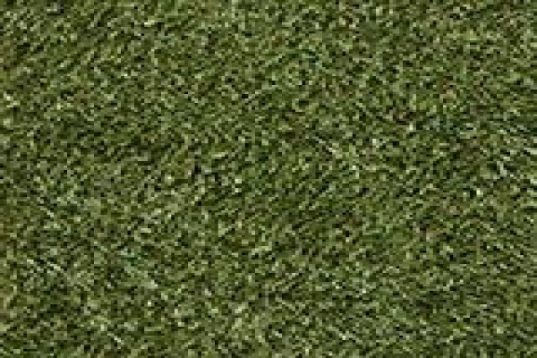 Tuffturf