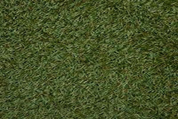 Tuffturf