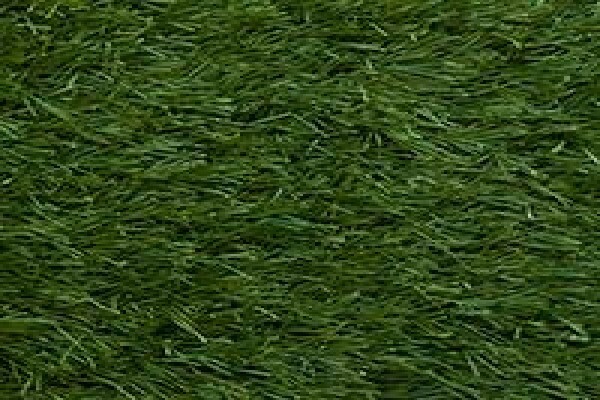 Tuffturf