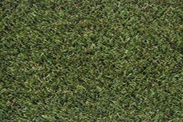 Tuffturf