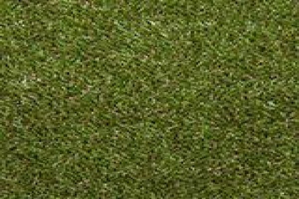 Tuffturf