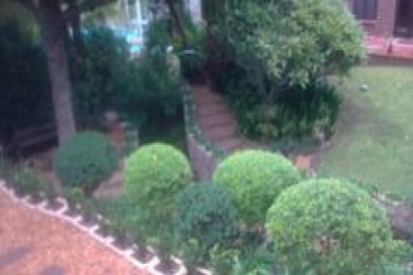 Garden Service Cape Town
