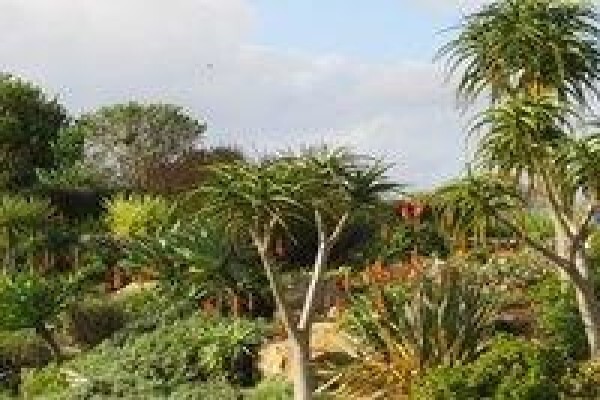 Cutting-Edge Landscaping Knysna