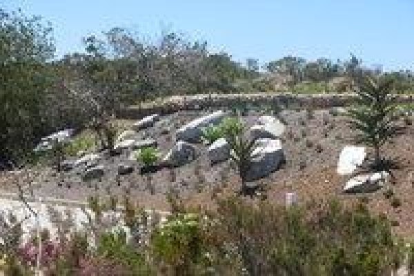 Cutting-Edge Landscaping Knysna