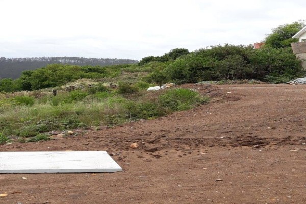 Cutting-Edge Landscaping Knysna