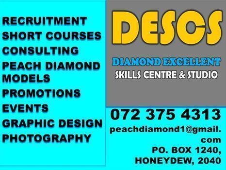 Diamond Excellent Skills Centre & Studio- Descs