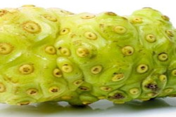 Nutrifruitlabs