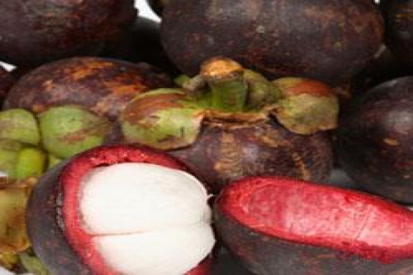 Nutrifruitlabs