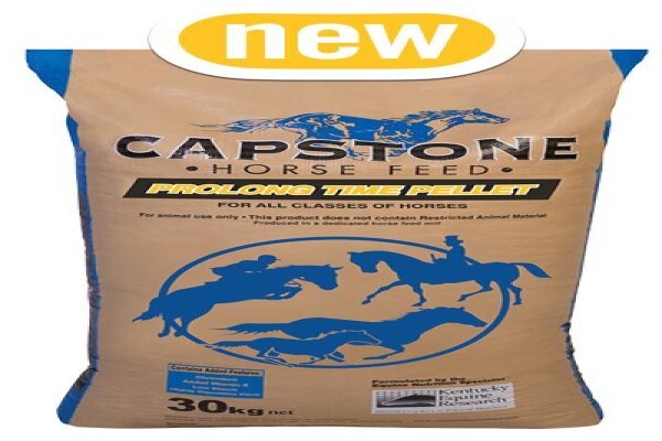 Capstone Horse Feeds