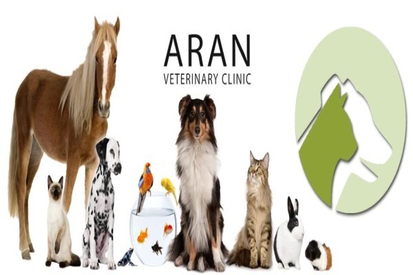 Aran Vet